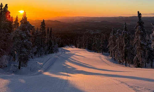 manchestermorgon.jpg.