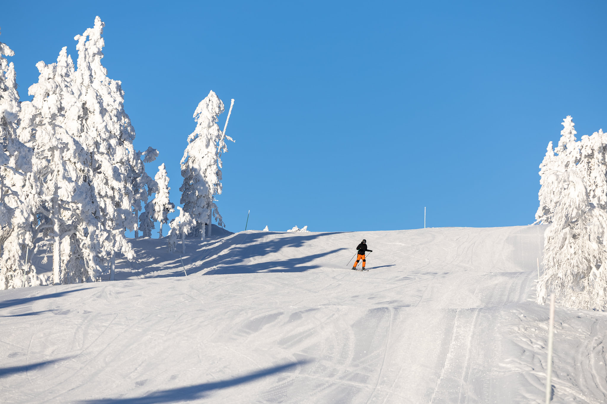 IHF_WEBB_1985_260126.jpg.