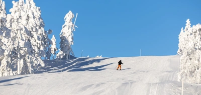 IHF_WEBB_1985_260126.jpg.