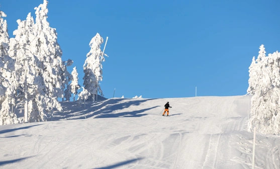 IHF_WEBB_1985_260126.jpg.