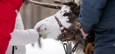 IHF_WEBB_6587_250214.jpg.