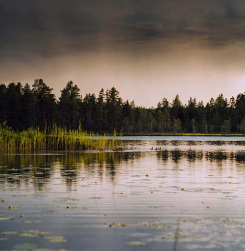 Idre_Himmelfjall_Fiske_02.jpeg.