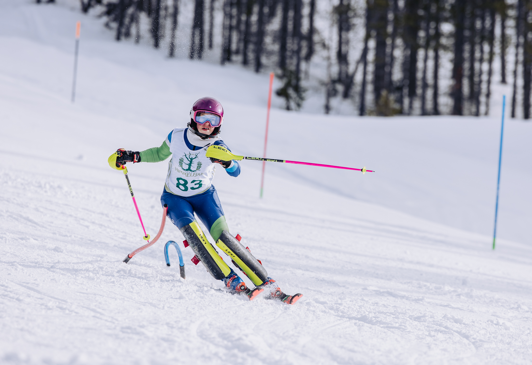 IHF_WEBB_0004_260308.jpg.