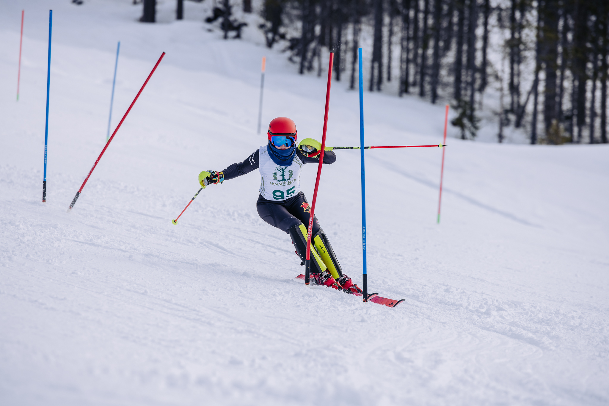 IHF_WEBB_0180_260308.jpg.