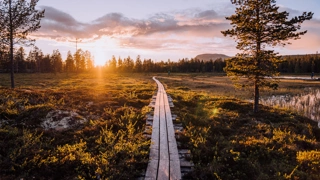 idrehimmel_sommar_60.jpg.