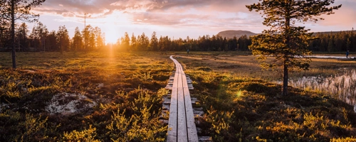 idrehimmel_sommar_60.jpg.