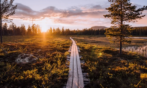 idrehimmel_sommar_60.jpg.