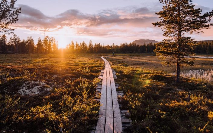 idrehimmel_sommar_60.jpg.