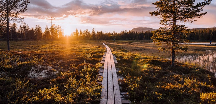 idrehimmel_sommar_60.jpg.