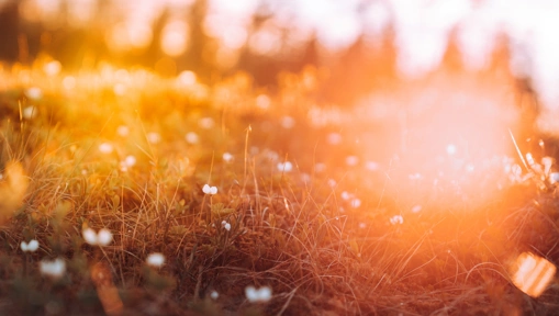 idrehimmel_sommar_62.jpg.