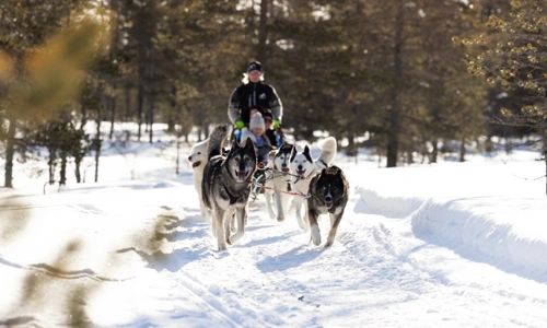 IHF_7000_250218.jpg.