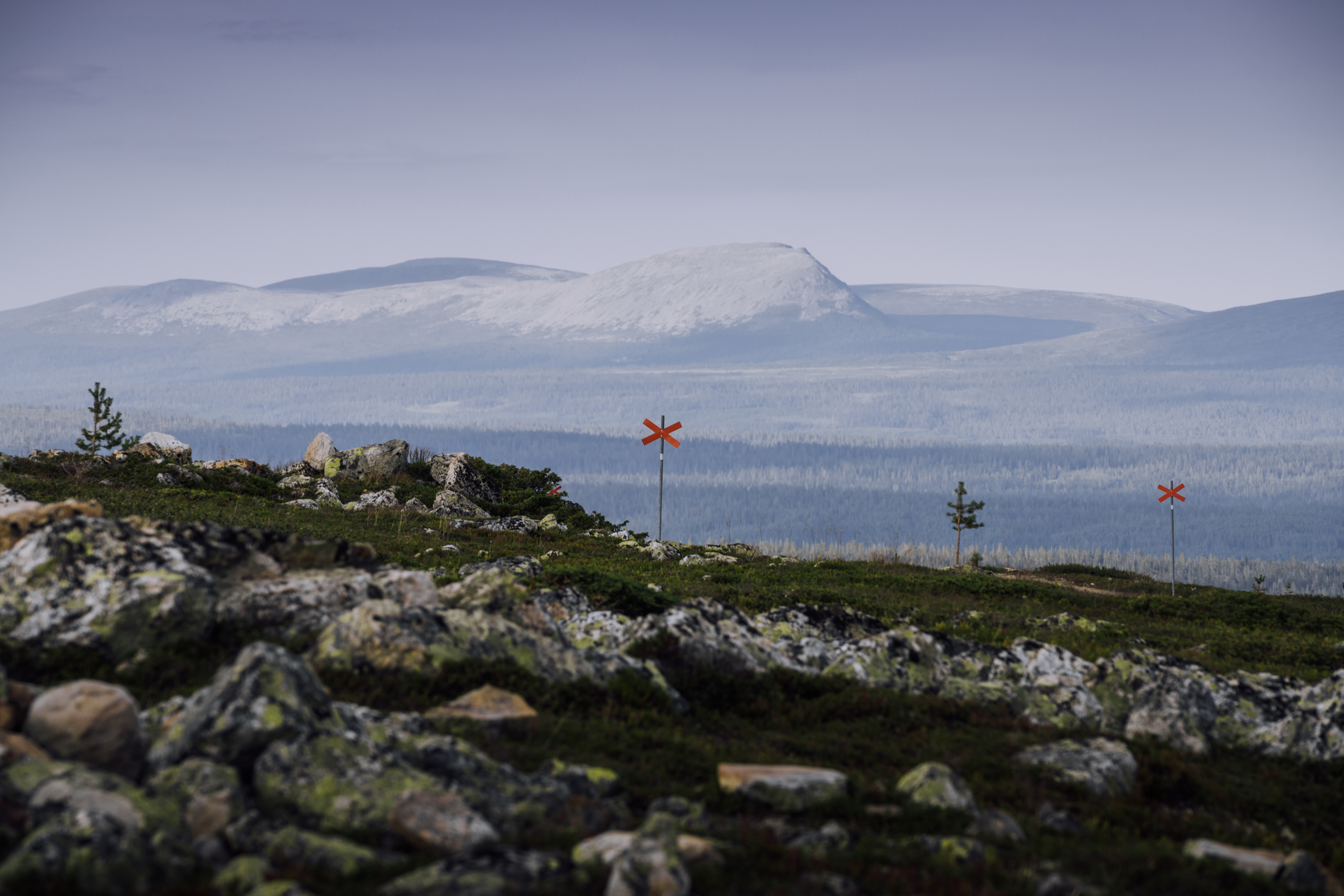 fjäll med ledkryss - sommar.