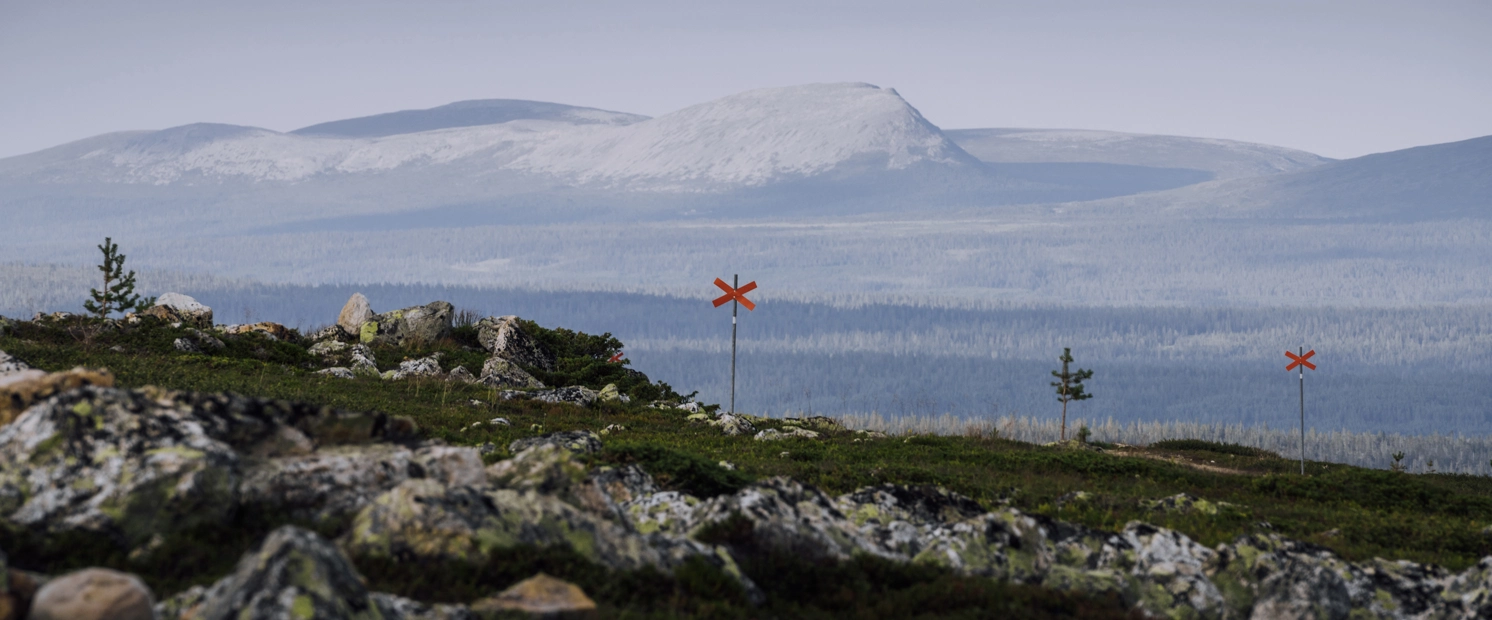 fjäll med ledkryss - sommar.