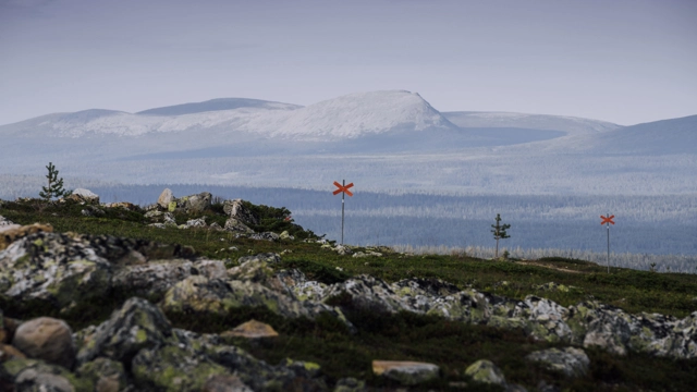 fjäll med ledkryss - sommar.