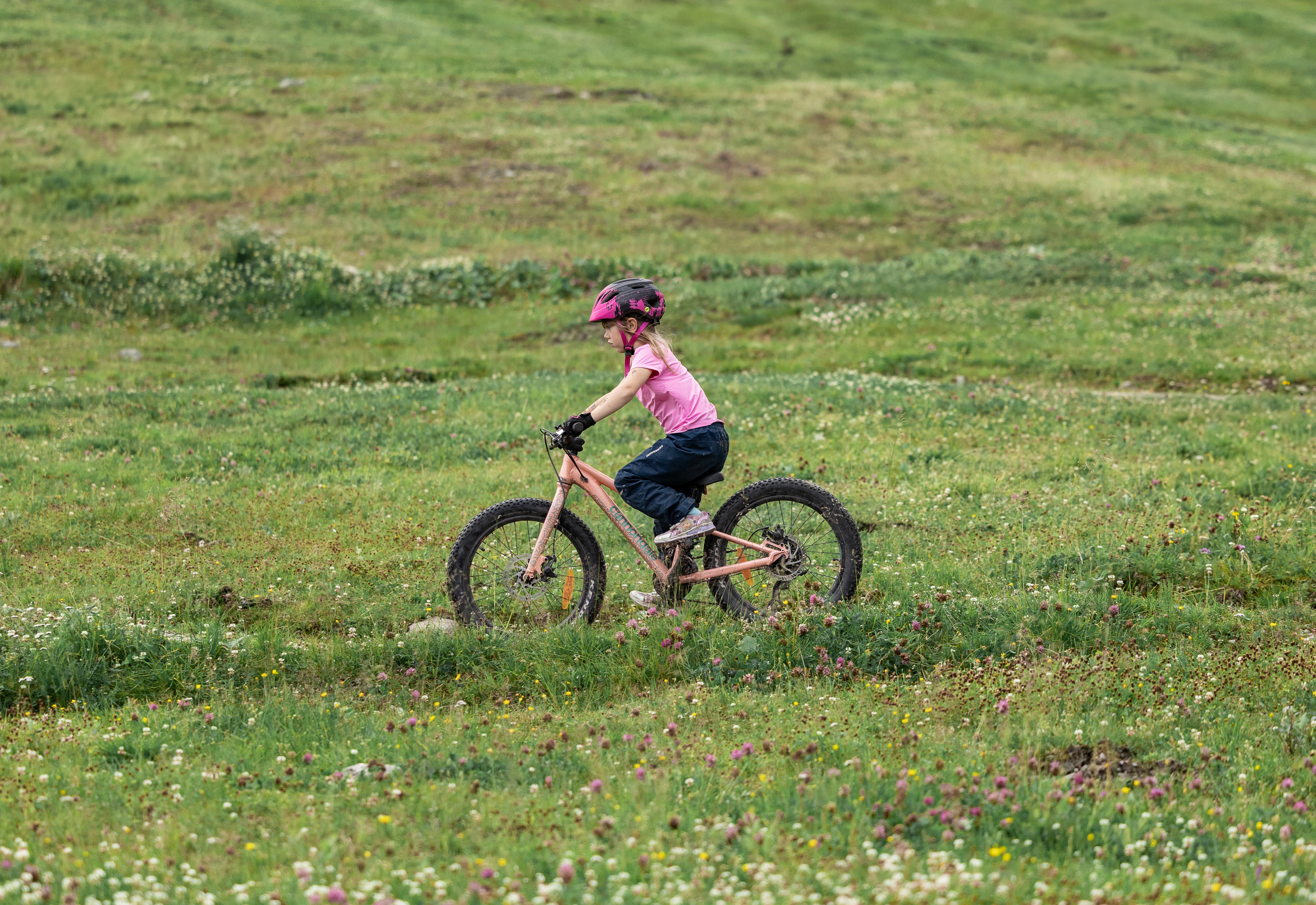 IHF_0529_250730.jpg.