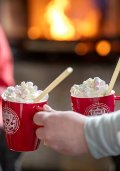 idrehimmelfjall_renenochalgen_choklad.jpg.