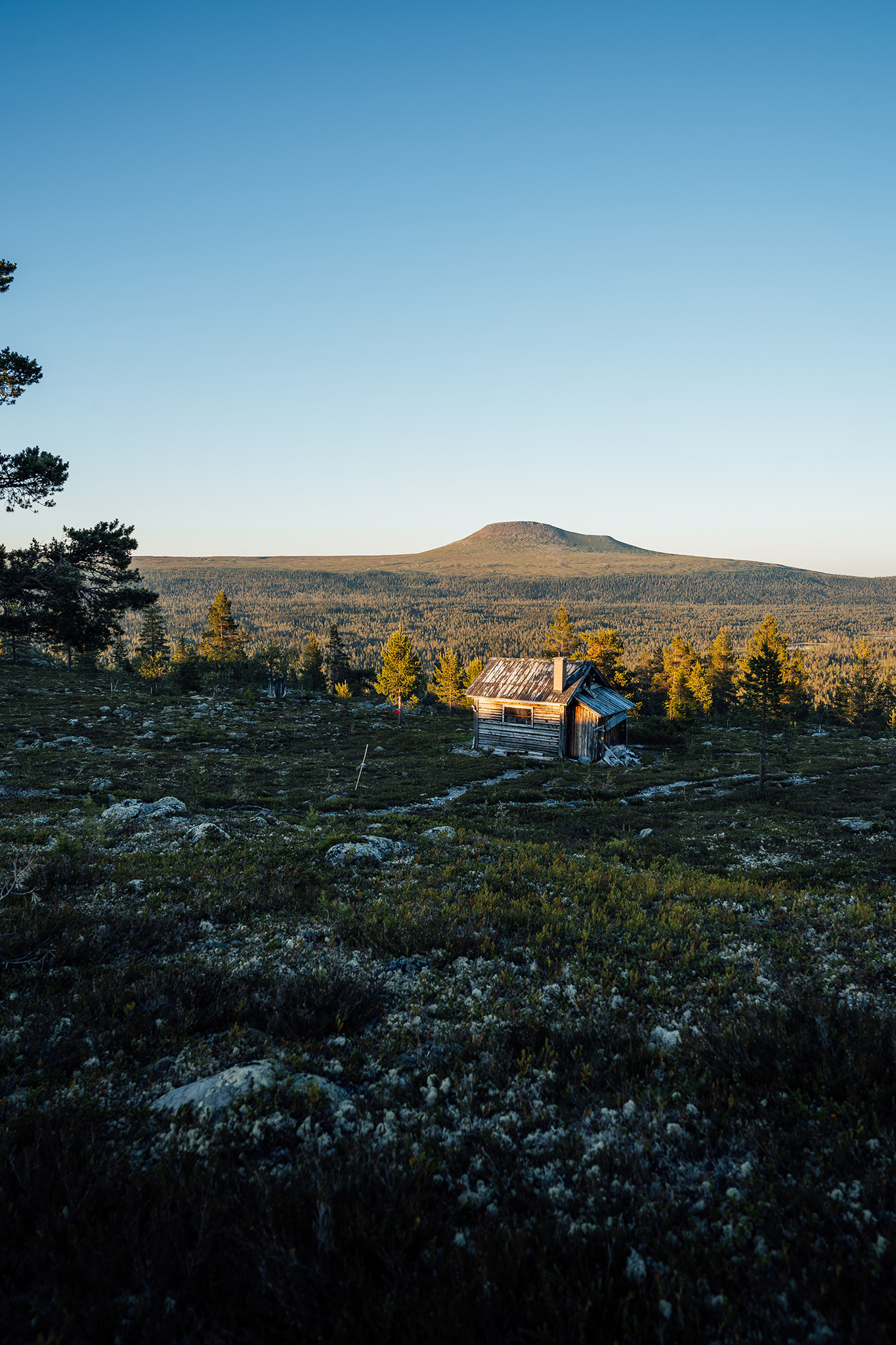 idrehimmel_sommar_301.jpg.