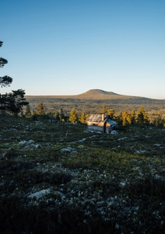 idrehimmel_sommar_301.jpg.