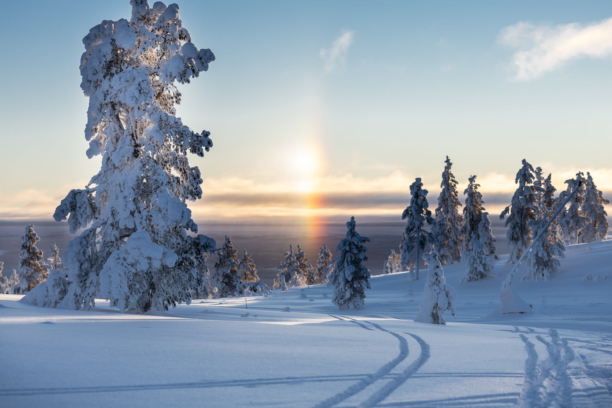 IHF_WEBB_2306_260126-2.jpg.