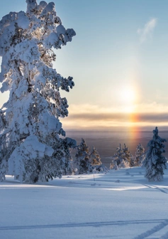 IHF_WEBB_2306_260126-2.jpg.