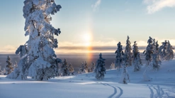 IHF_WEBB_2306_260126-2.jpg.