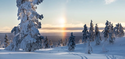 IHF_WEBB_2306_260126-2.jpg.