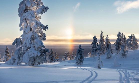 IHF_WEBB_2306_260126-2.jpg.