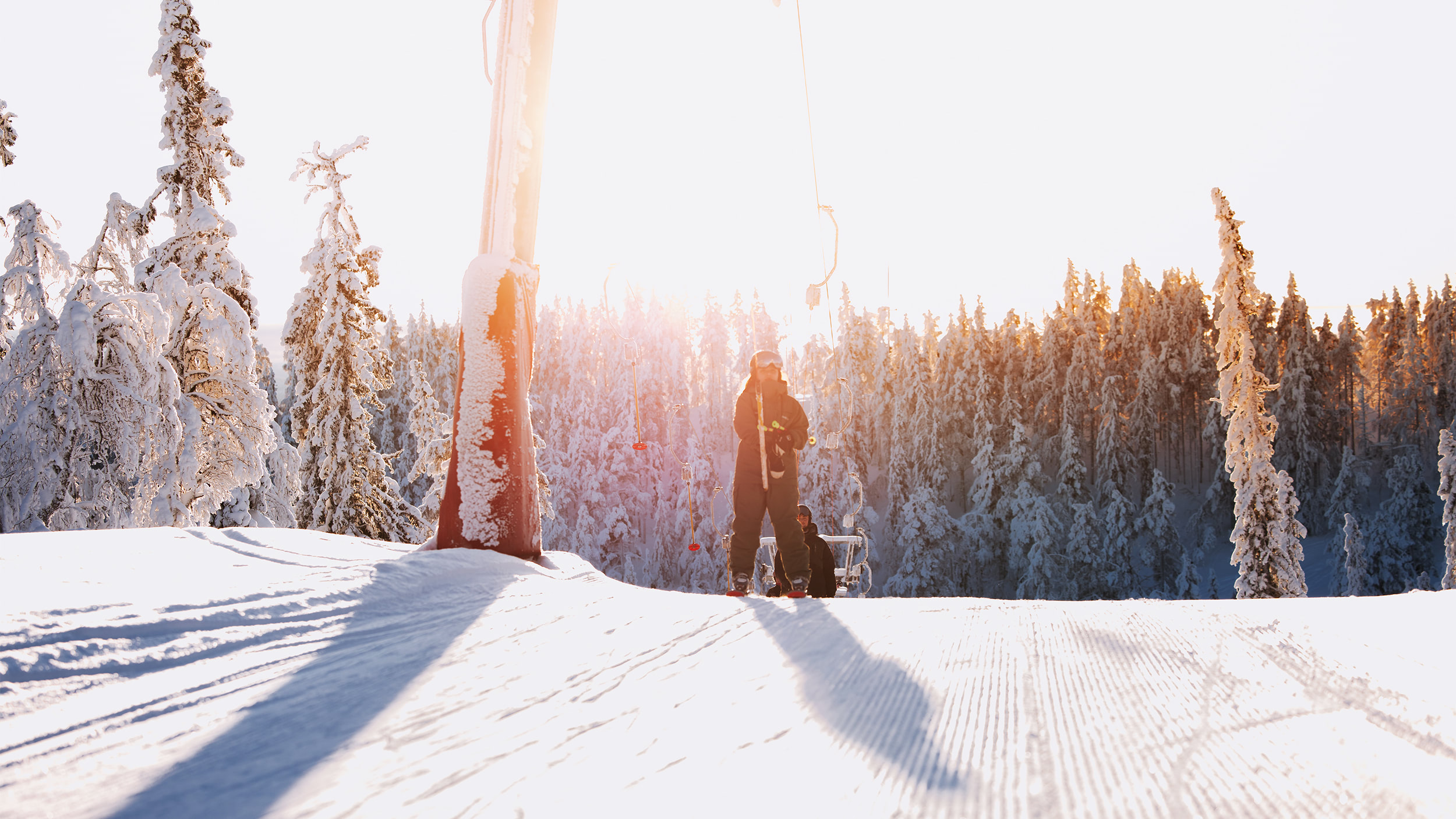 IHF_2173_260126.jpg.