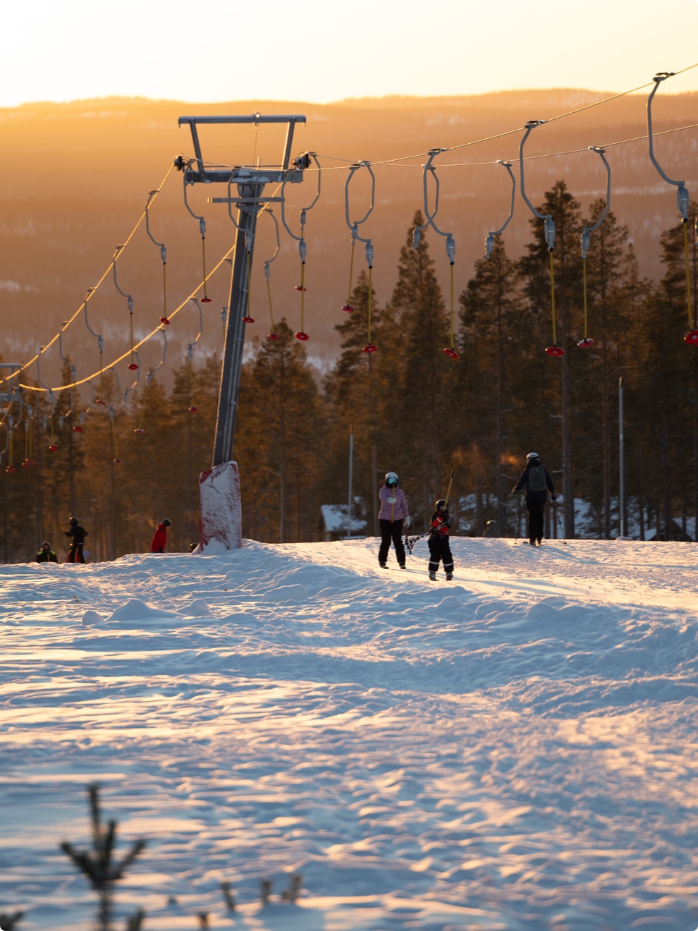 IHF_4919_250103.jpg.