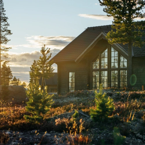 idrehimmel_sommar_2022_85.jpg.