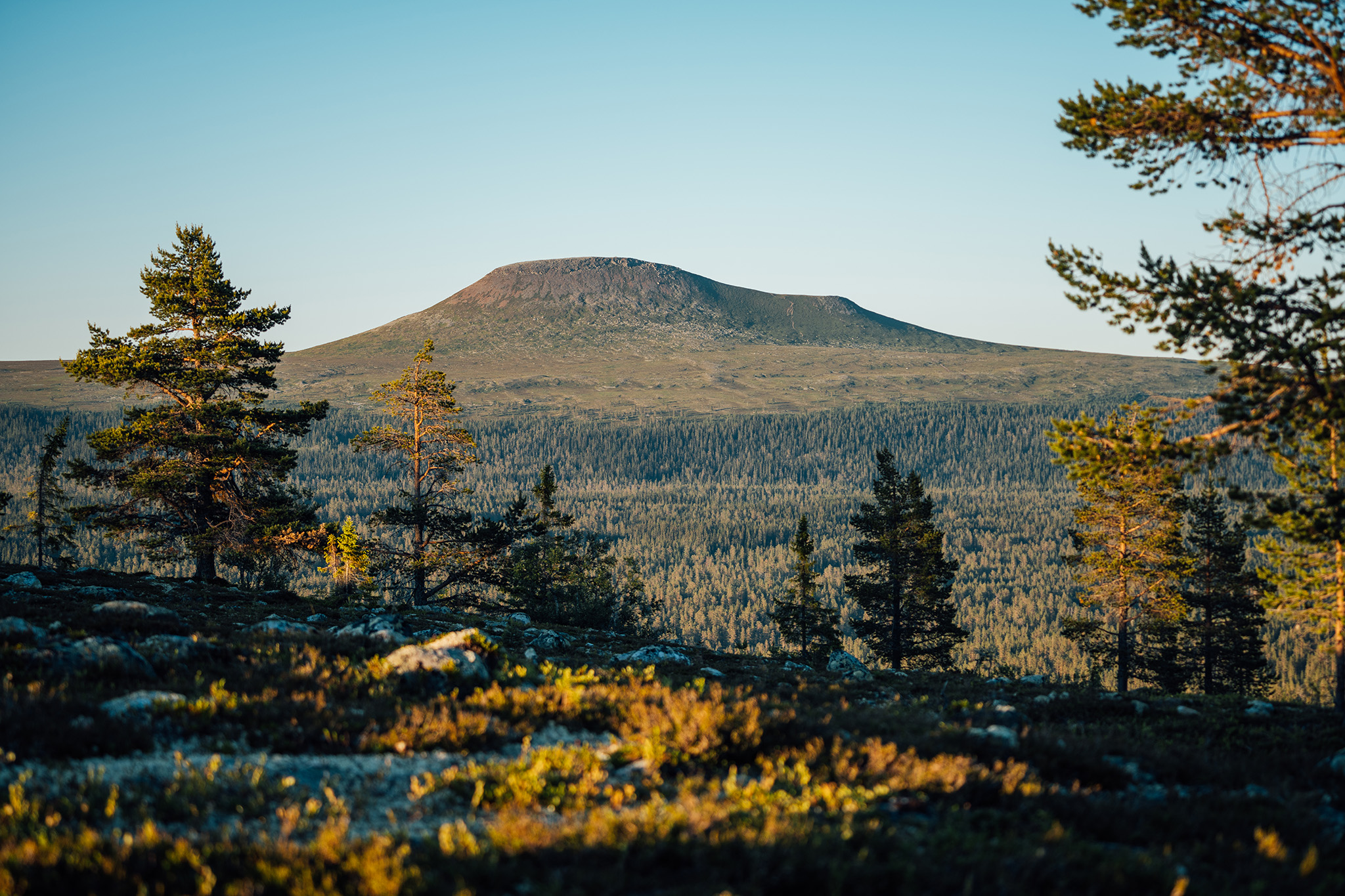 idrehimmel_sommar_303.jpg.