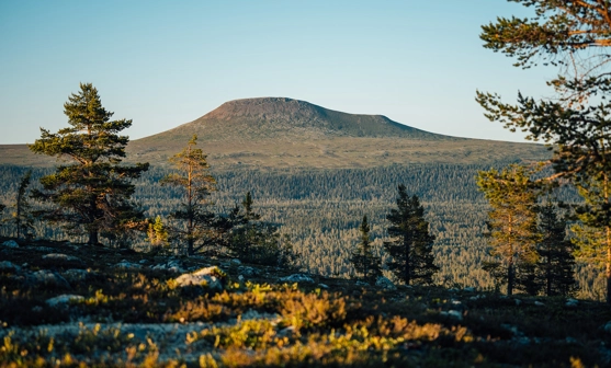 idrehimmel_sommar_303.jpg.