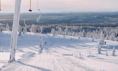 IHF_1901_260117.jpg.