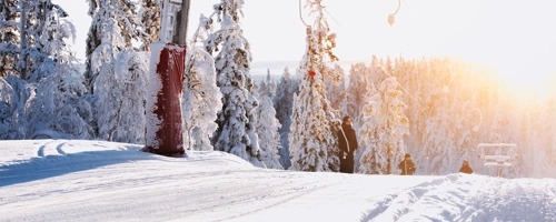 IHF_2171_260126.jpg.