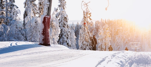 IHF_2171_260126.jpg.