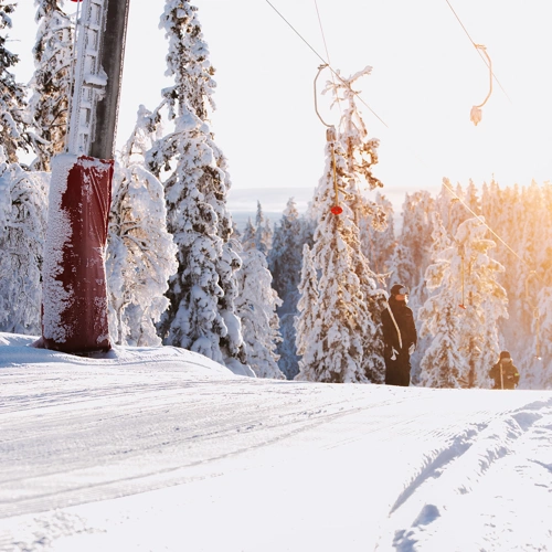 IHF_2171_260126.jpg.