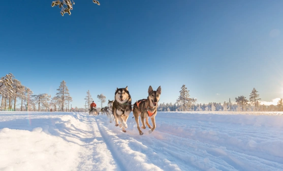 LHD_6563-scaled.jpg.