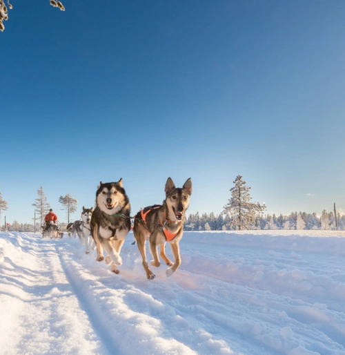 LHD_6563-scaled.jpg.