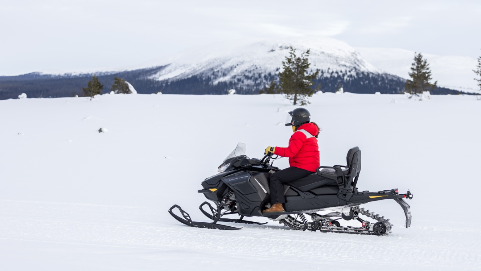 IHF_6442_250214.jpg.