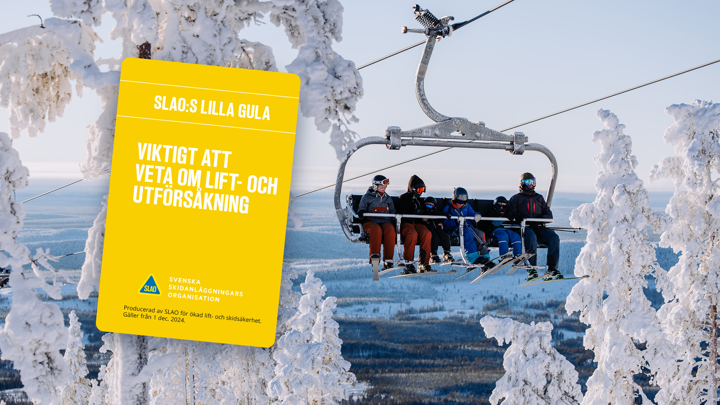 slaos_lilla_gula_2.jpg.