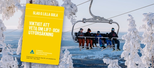 slaos_lilla_gula_2.jpg.