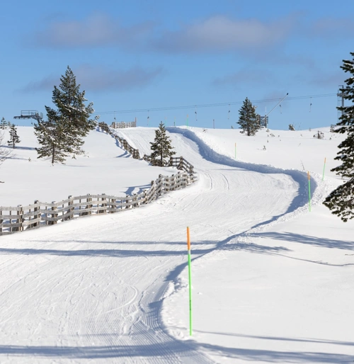 IHF_8895_250313.jpg.