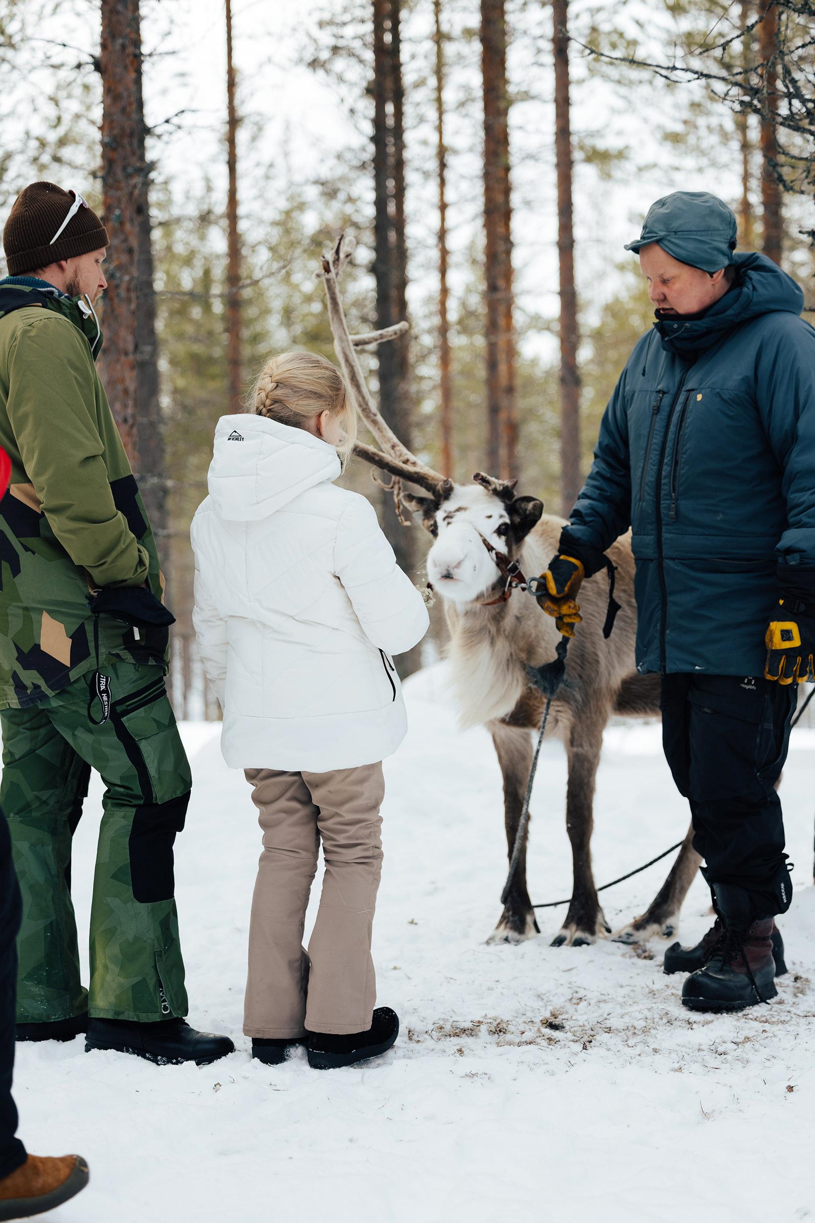 IHF_6569_250214.jpg.