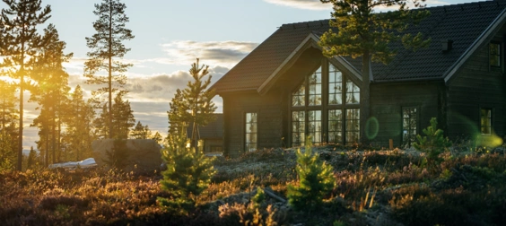 idrehimmel_sommar_2022_85.jpg.