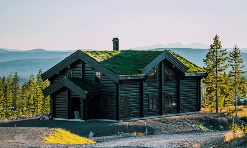 idrehimmel_sommar_WEBB.jpg.