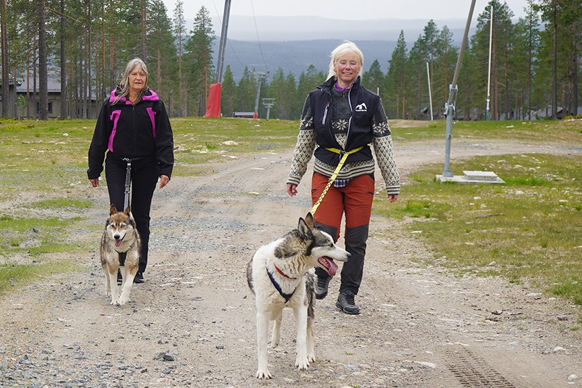 IH_Huskywalk_1_840x561.jpg.