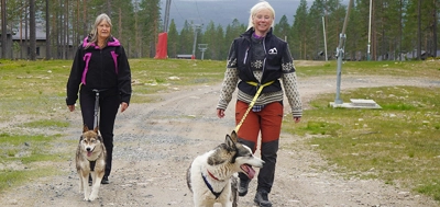 IH_Huskywalk_1_840x561.jpg.