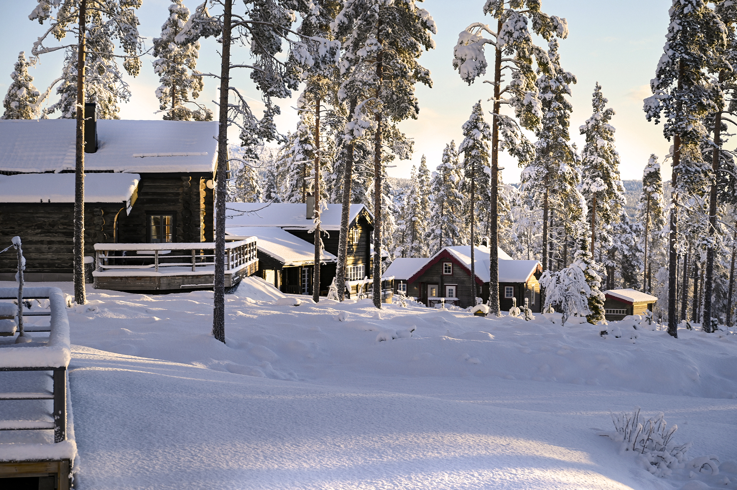 -HF-vinter-0953.jpg.