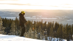 IHF_5323_250110.jpg.