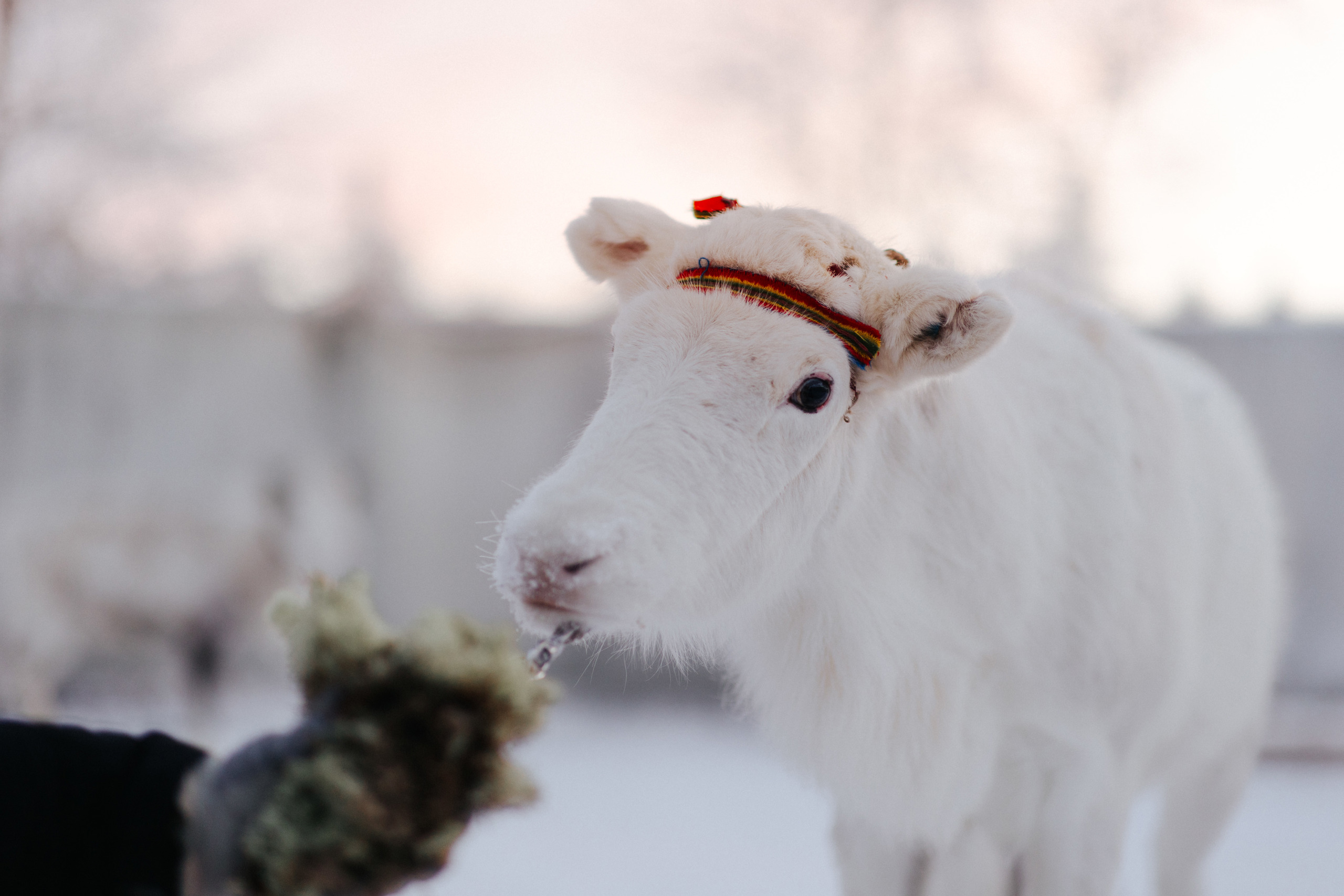 PRINT_4284_221211.jpg.